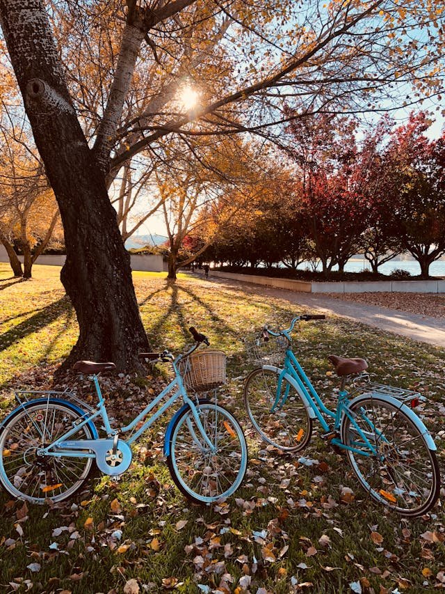 Bicicletas: Tu mejor aliada para ejercitarte, explorar y mantenerte en forma