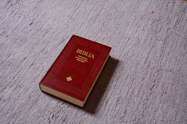Mejores recomendaciones en Biblias y Libros Devocionales